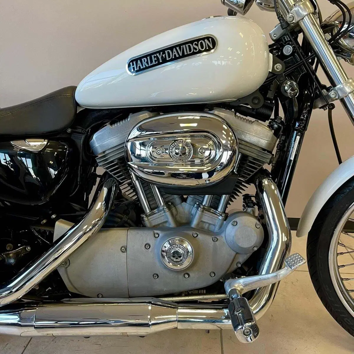 Harley-Davidson 883 Low (2008 - 12) - XL 883L (6)