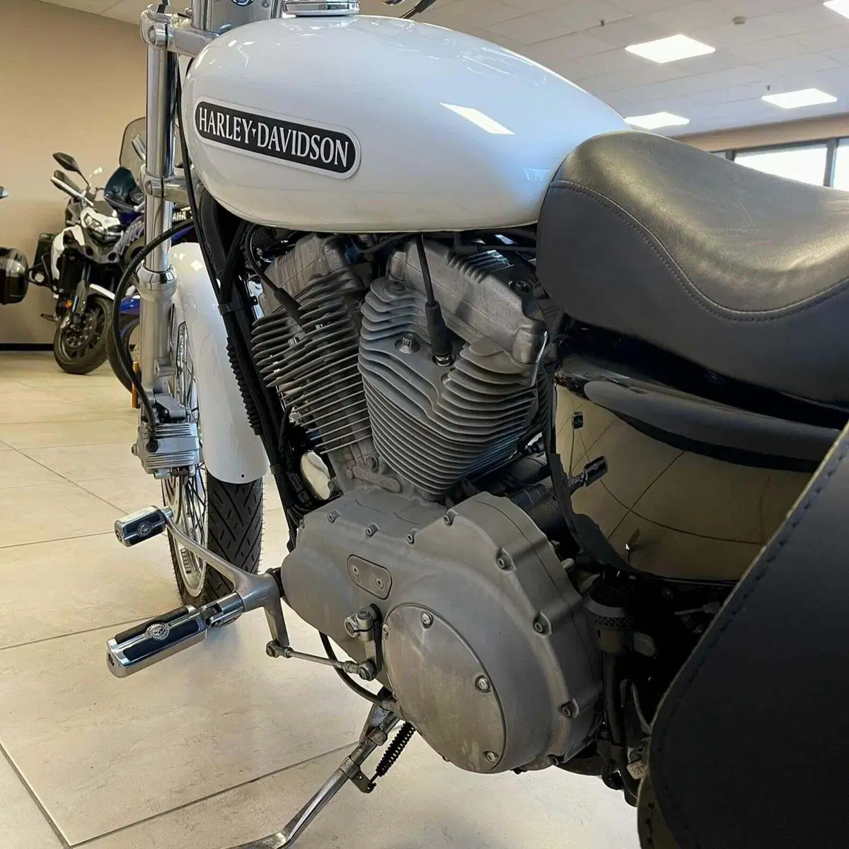 Harley-Davidson 883 Low (2008 - 12) - XL 883L (10)