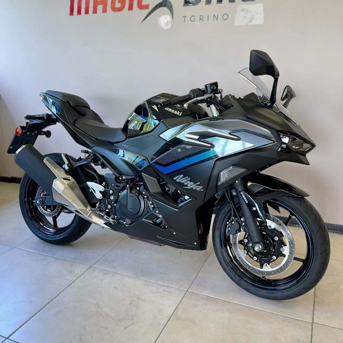 Kawasaki Ninja 500 SE (2024 - 26)