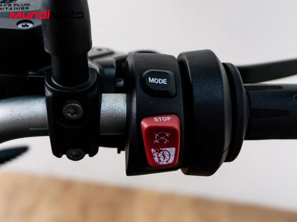 Bmw R 1250 R (2019 - 20) (14)