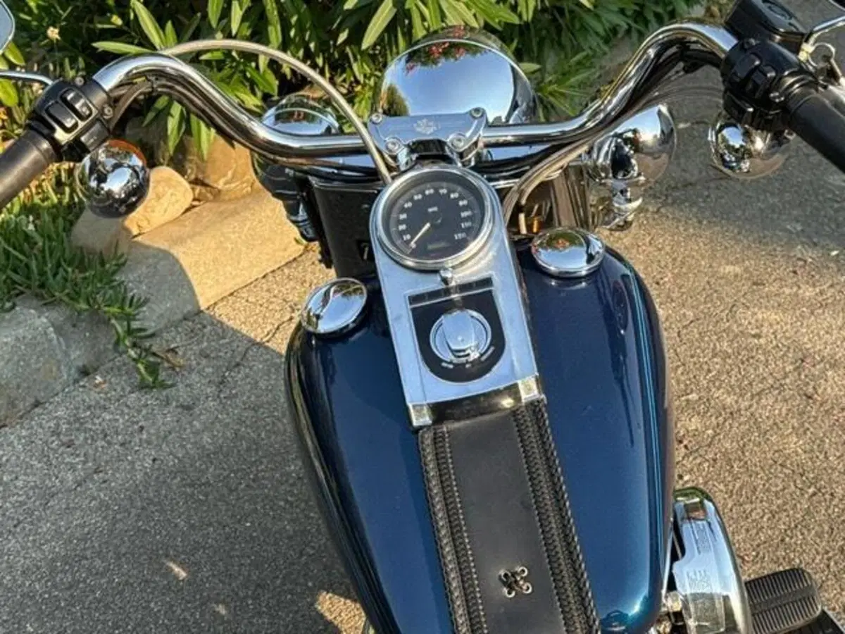 Harley-Davidson 1340 Fat Boy (1990 - 99) - FLSTF (11)