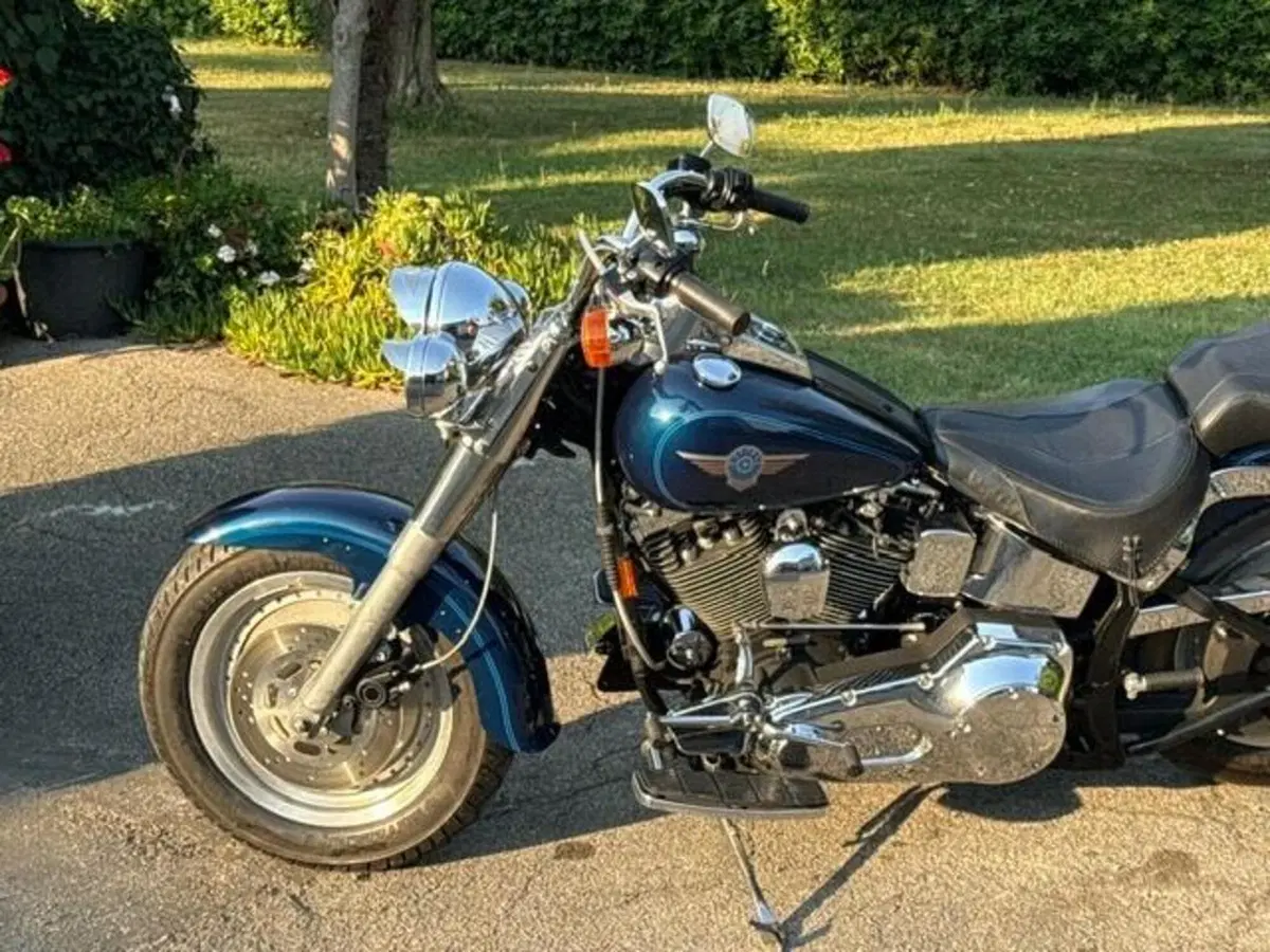 Harley-Davidson 1340 Fat Boy (1990 - 99) - FLSTF (15)