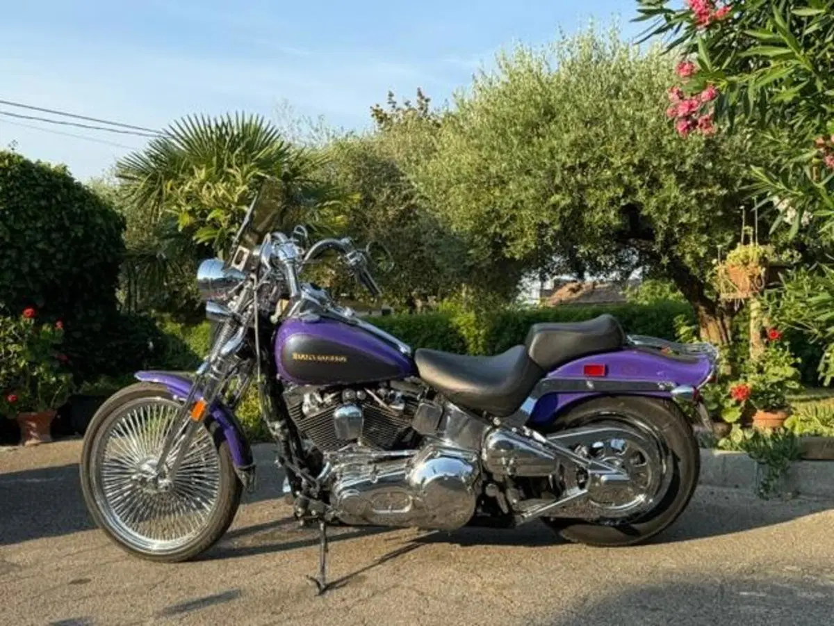 Harley-Davidson 1450 Springer (2001 - 03) - FXSTS (2)
