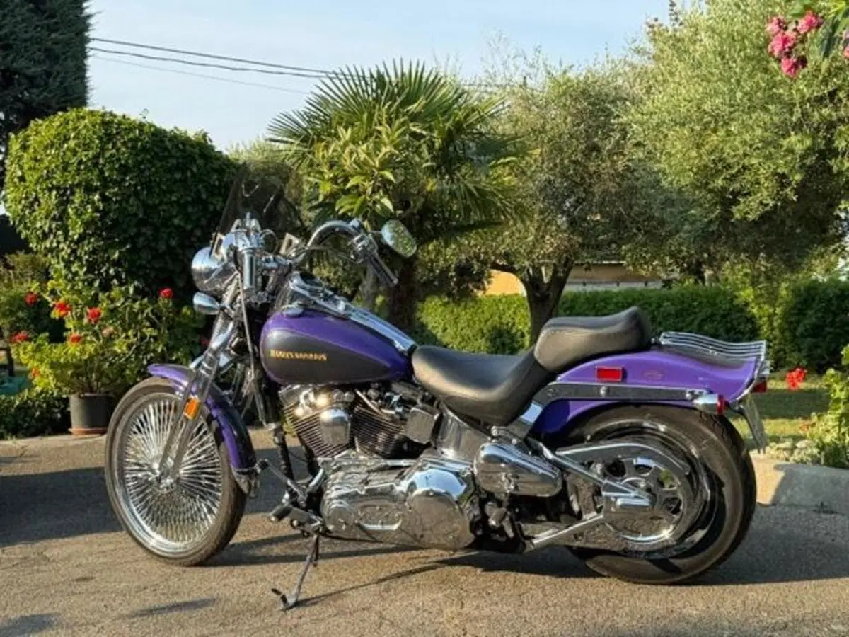 Harley-Davidson 1450 Springer (2001 - 03) - FXSTS (3)