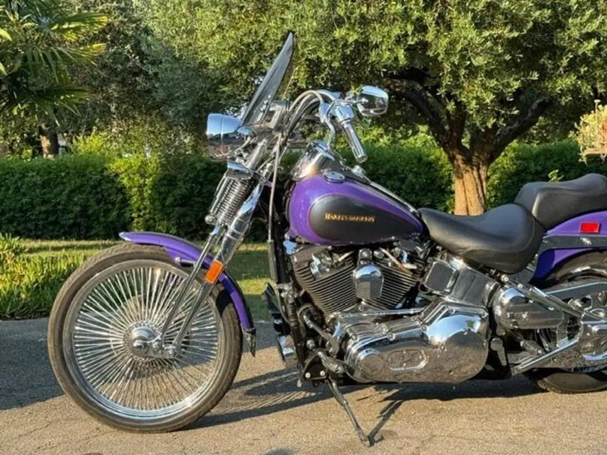 Harley-Davidson 1450 Springer (2001 - 03) - FXSTS (4)