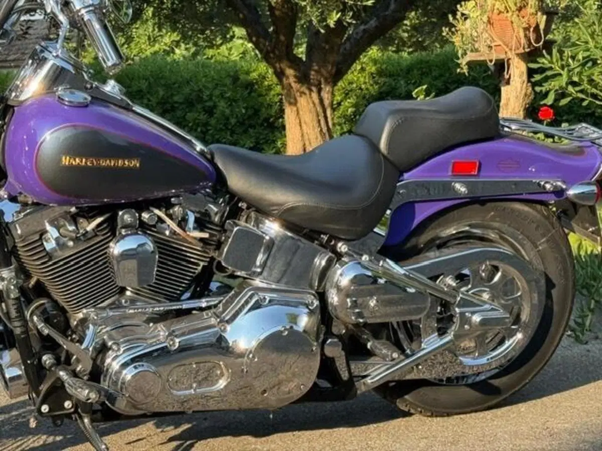 Harley-Davidson 1450 Springer (2001 - 03) - FXSTS (5)