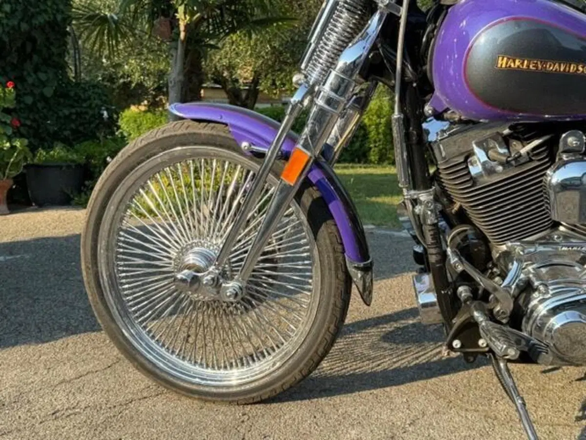 Harley-Davidson 1450 Springer (2001 - 03) - FXSTS (6)