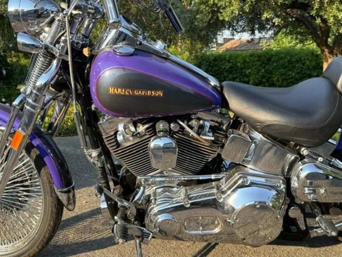 Harley-Davidson 1450 Springer (2001 - 03) - FXSTS (7)