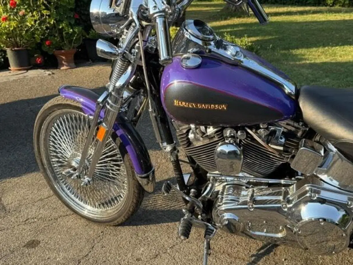 Harley-Davidson 1450 Springer (2001 - 03) - FXSTS (8)
