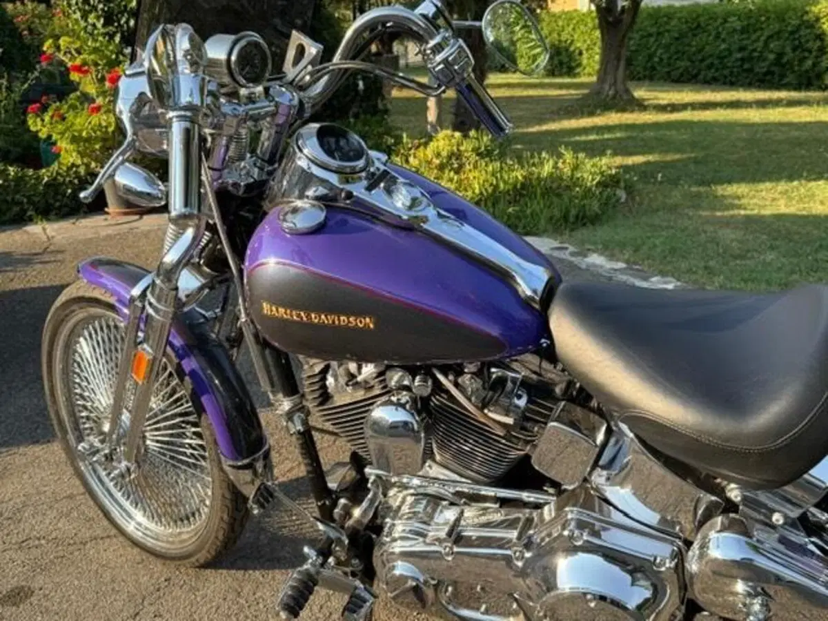 Harley-Davidson 1450 Springer (2001 - 03) - FXSTS (9)