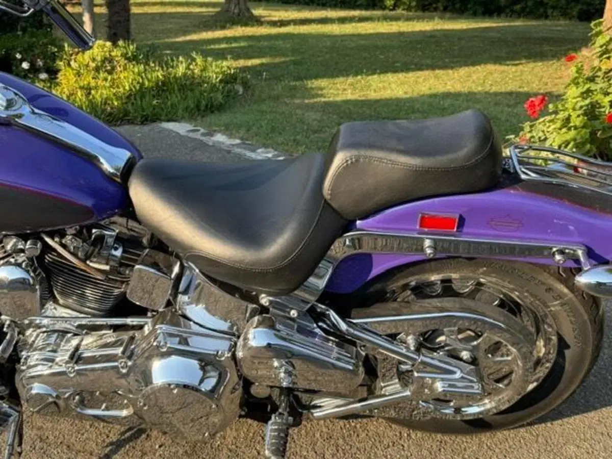Harley-Davidson 1450 Springer (2001 - 03) - FXSTS (10)