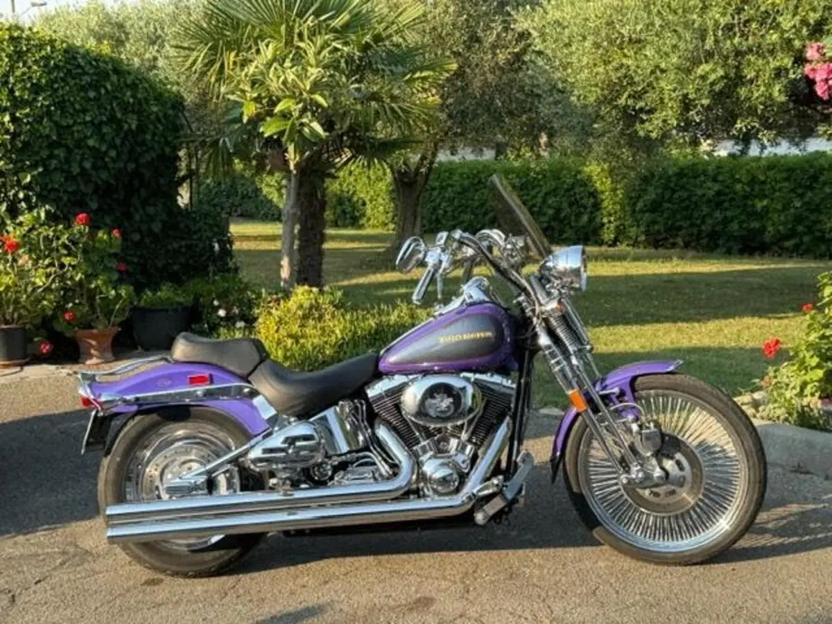 Harley-Davidson 1450 Springer (2001 - 03) - FXSTS (11)