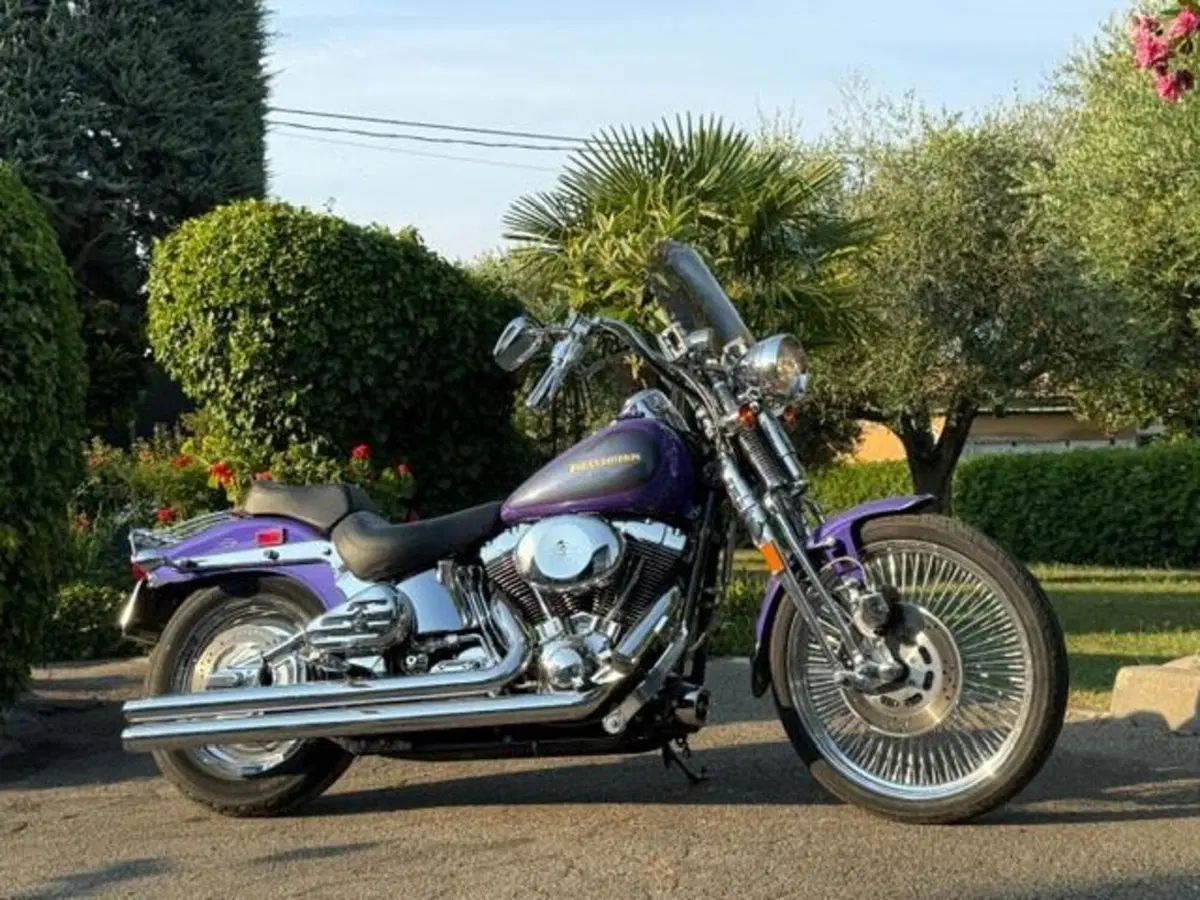 Harley-Davidson 1450 Springer (2001 - 03) - FXSTS