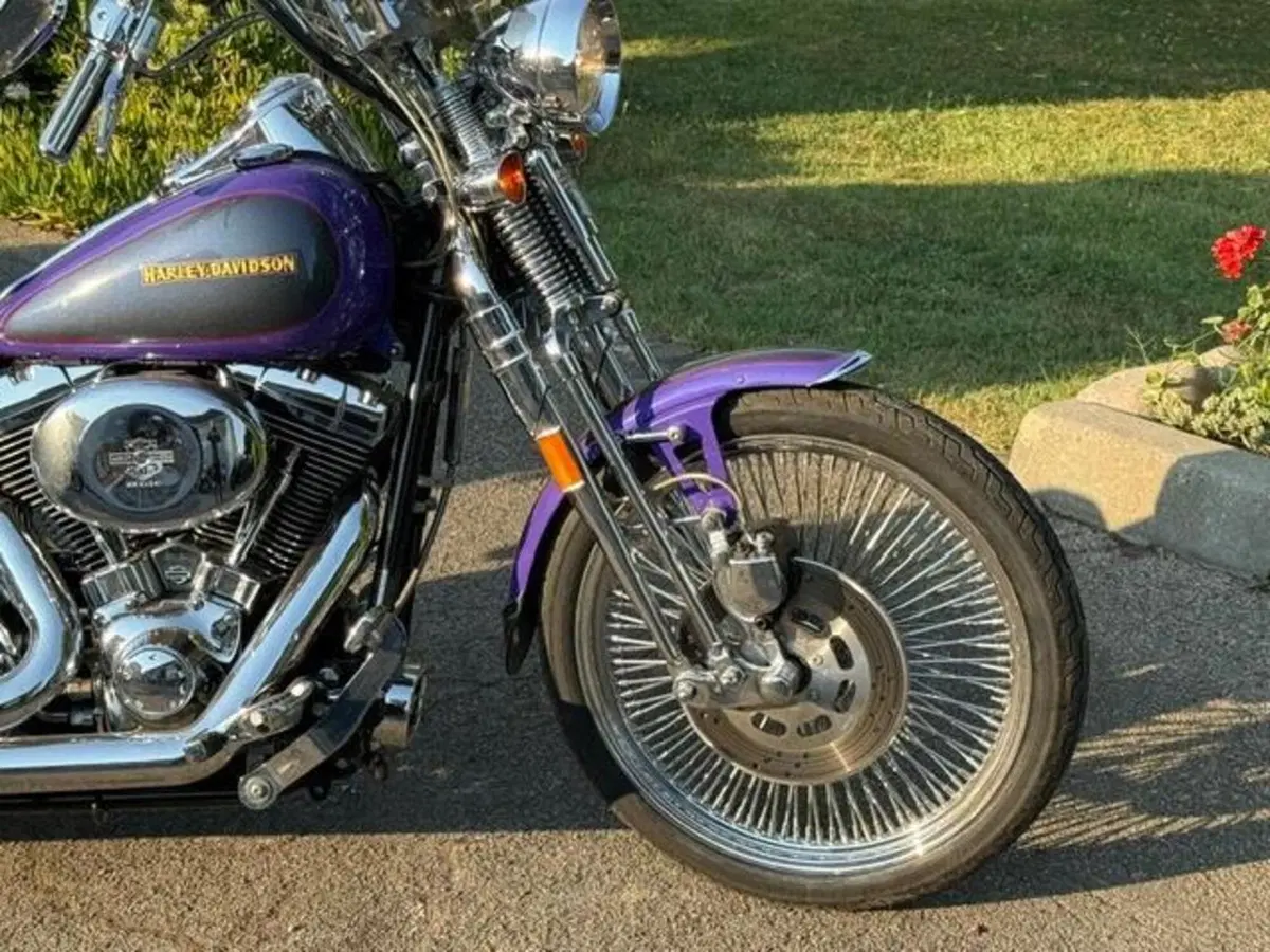 Harley-Davidson 1450 Springer (2001 - 03) - FXSTS (12)