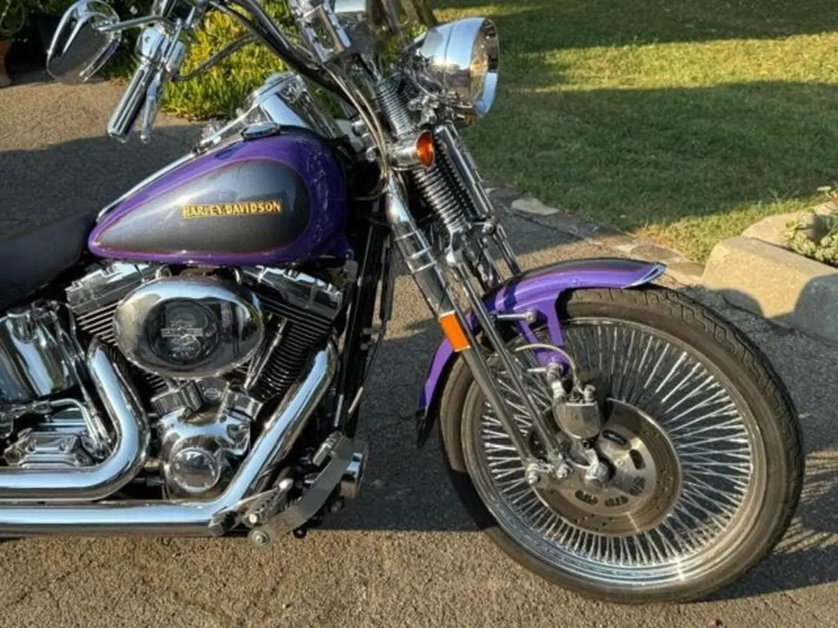 Harley-Davidson 1450 Springer (2001 - 03) - FXSTS (13)