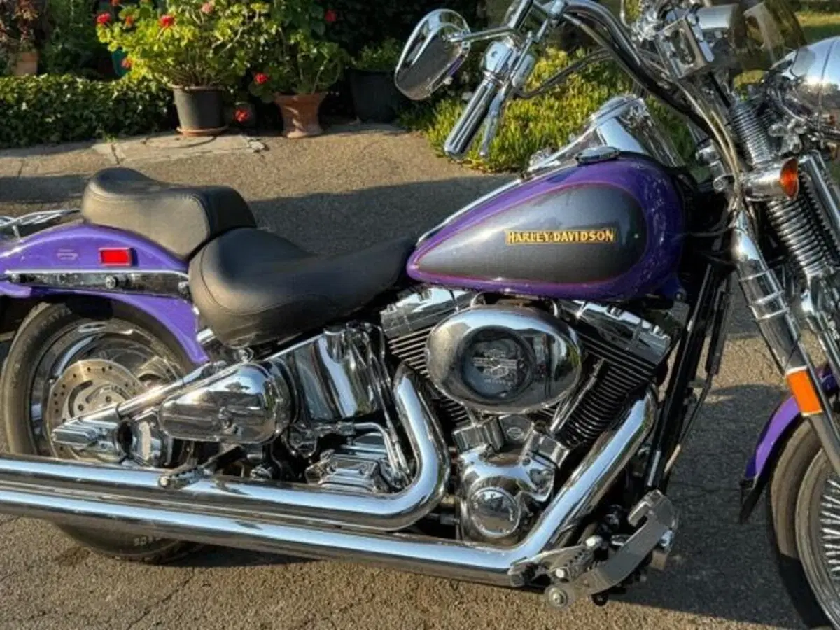 Harley-Davidson 1450 Springer (2001 - 03) - FXSTS (14)