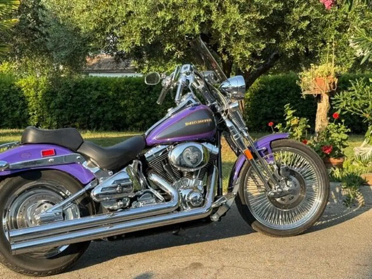 Harley-Davidson 1450 Springer (2001 - 03) - FXSTS (15)