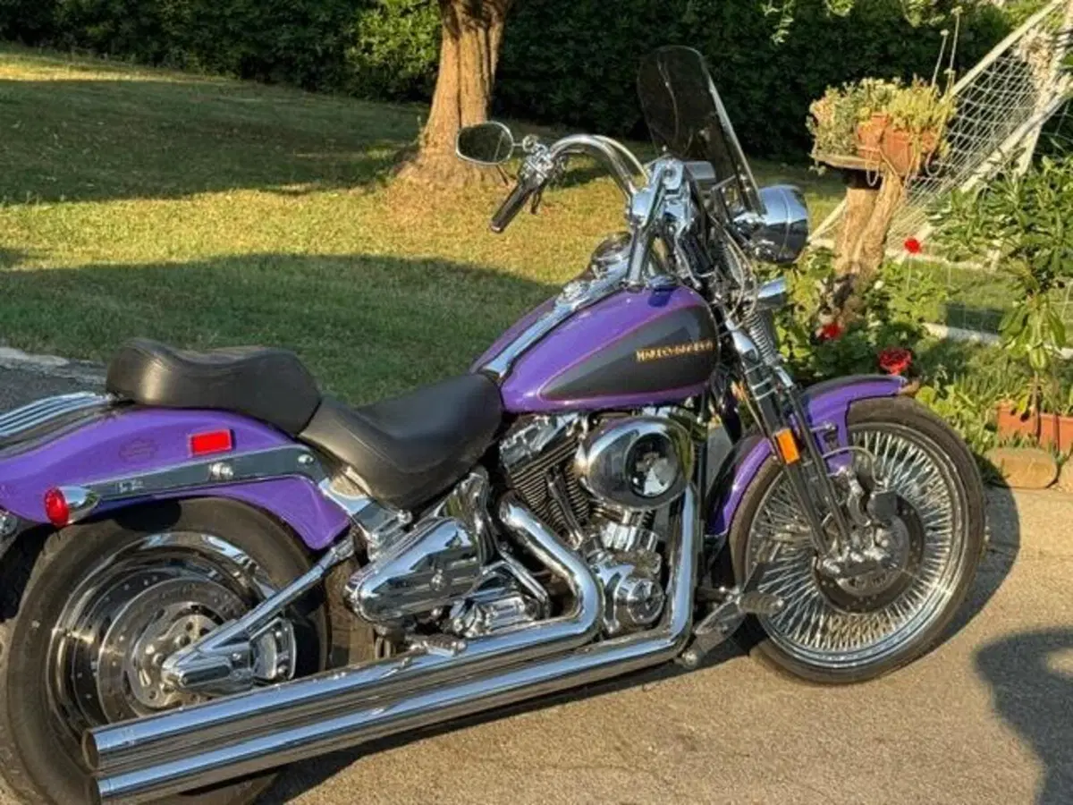 Harley-Davidson 1450 Springer (2001 - 03) - FXSTS (16)