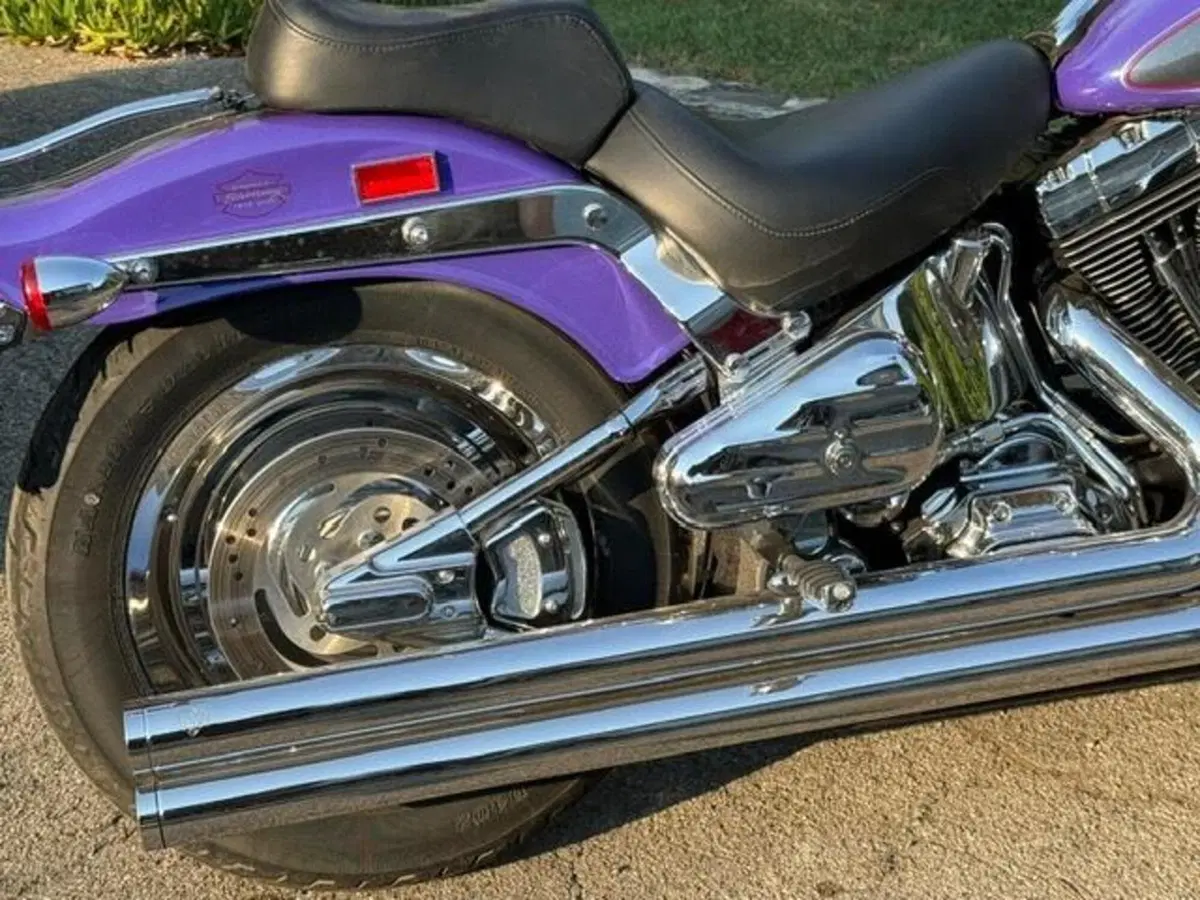 Harley-Davidson 1450 Springer (2001 - 03) - FXSTS (17)
