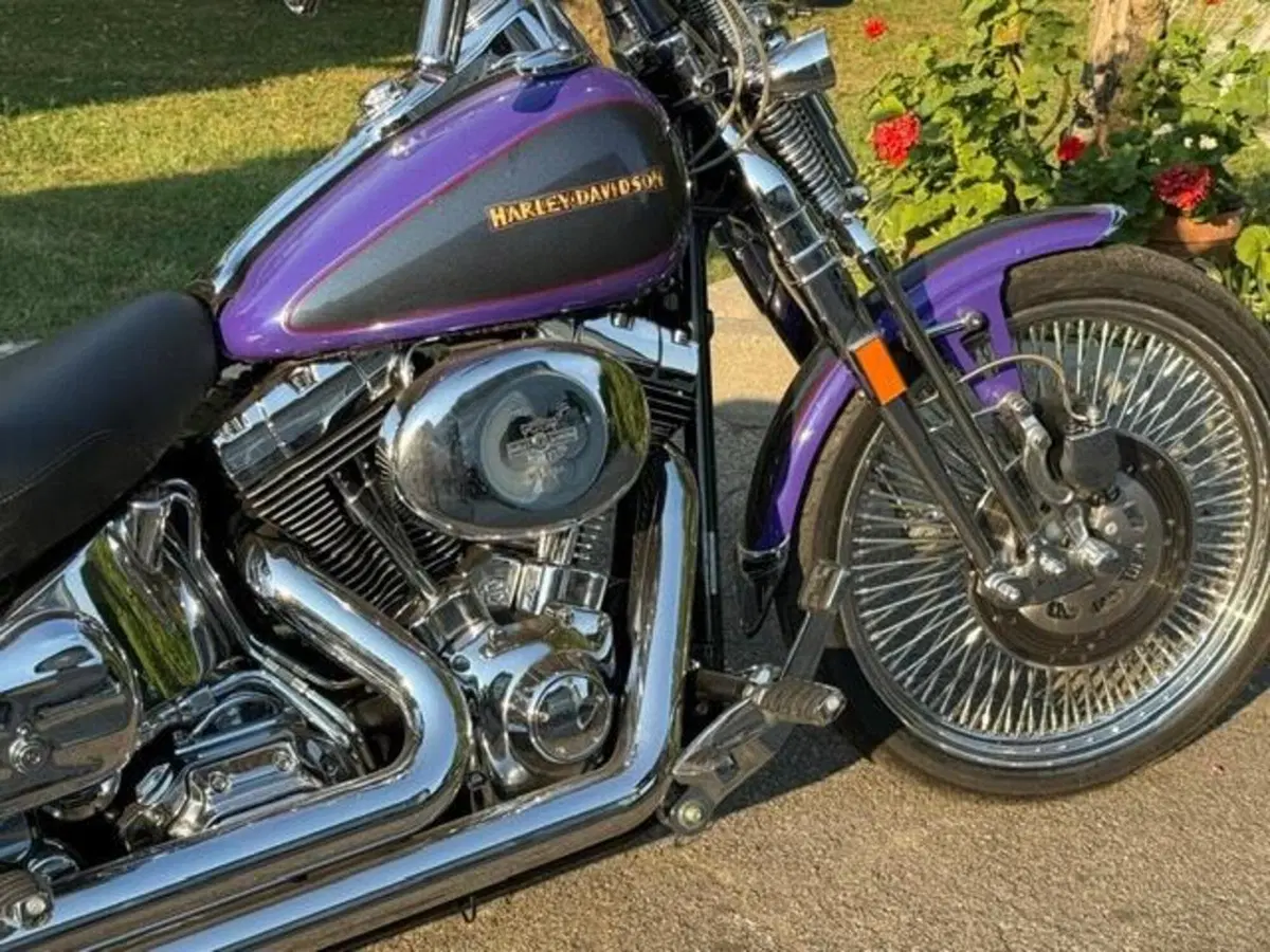 Harley-Davidson 1450 Springer (2001 - 03) - FXSTS (18)