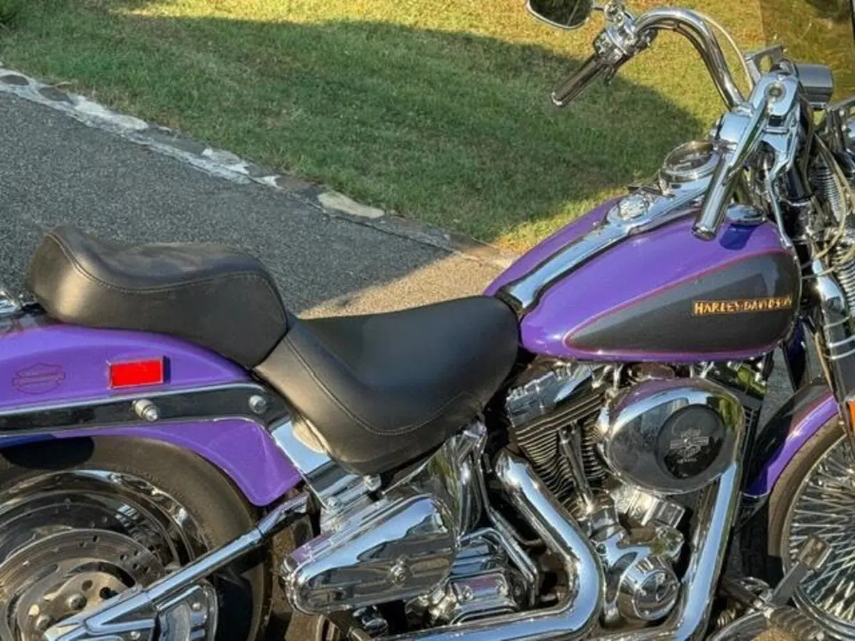 Harley-Davidson 1450 Springer (2001 - 03) - FXSTS (19)