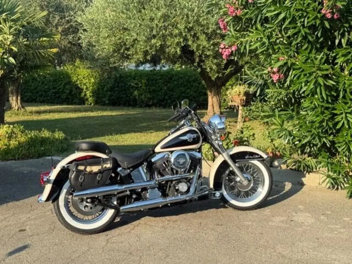 Harley-Davidson 1340 Heritage Special (1993 - 96) (2)