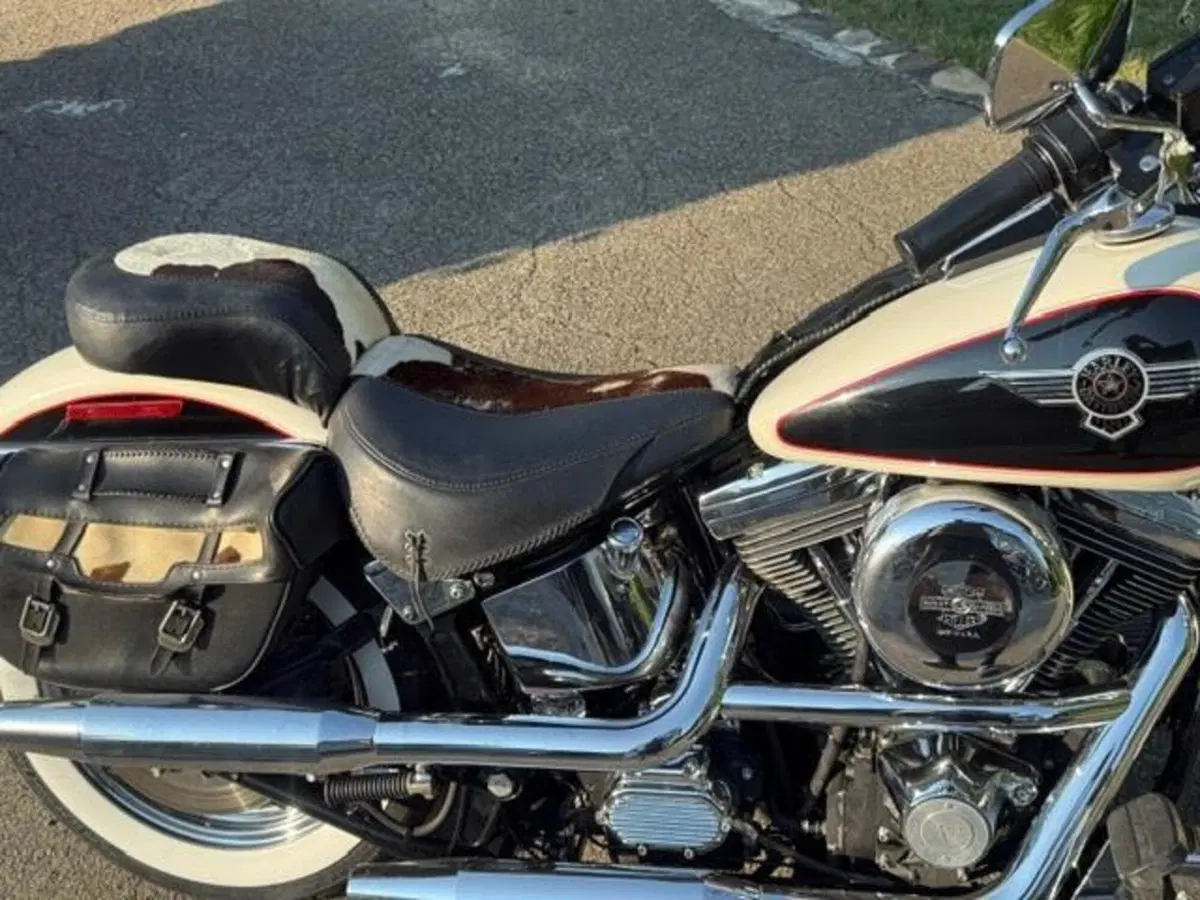 Harley-Davidson 1340 Heritage Special (1993 - 96) (5)