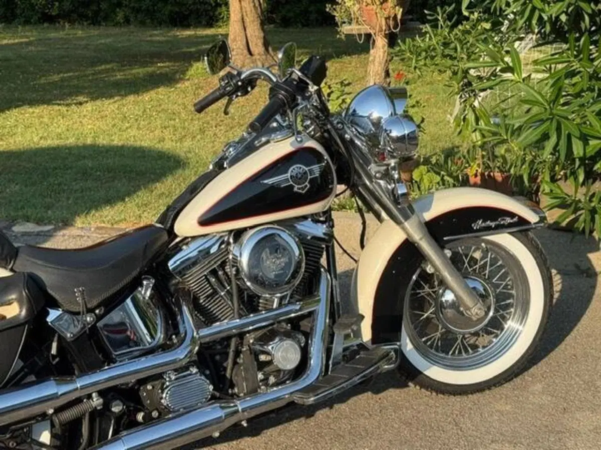 Harley-Davidson 1340 Heritage Special (1993 - 96) (6)