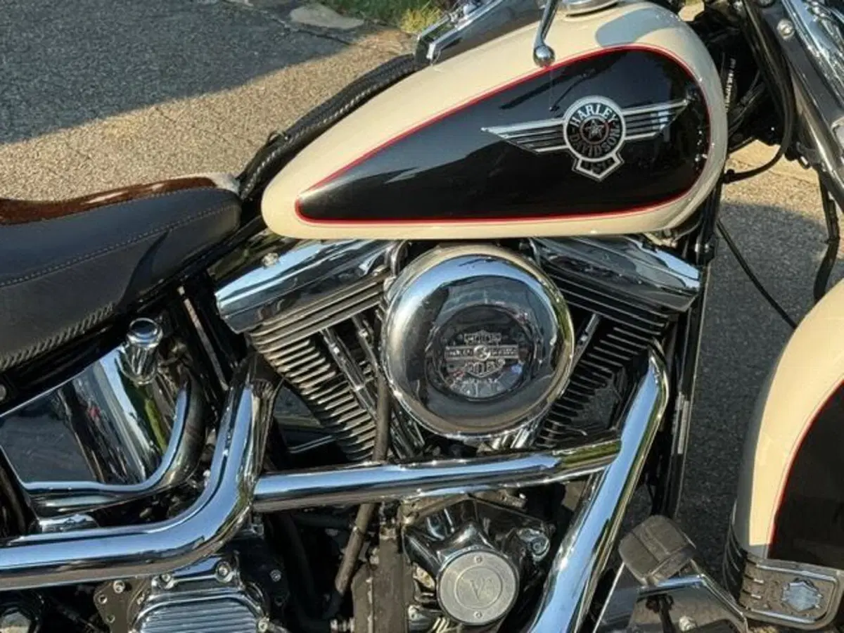 Harley-Davidson 1340 Heritage Special (1993 - 96) (8)