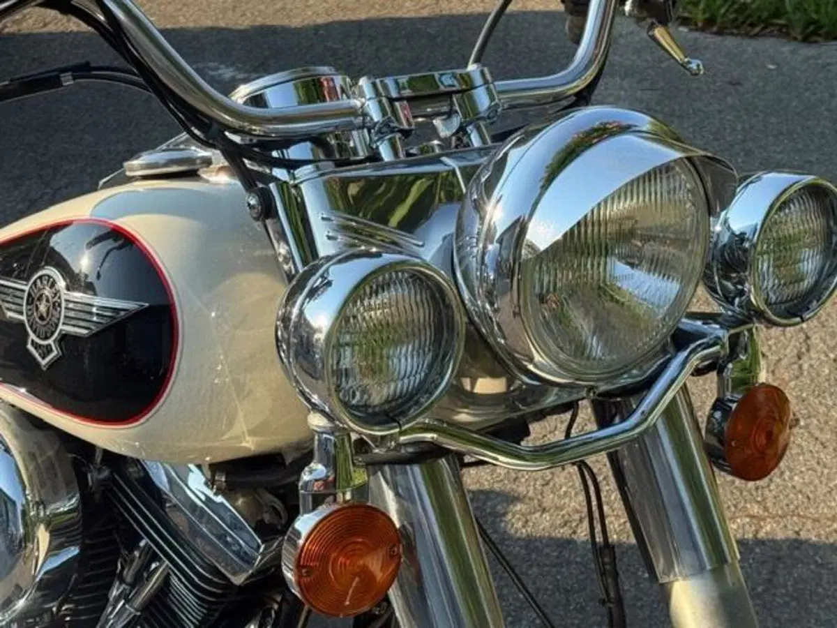 Harley-Davidson 1340 Heritage Special (1993 - 96) (9)