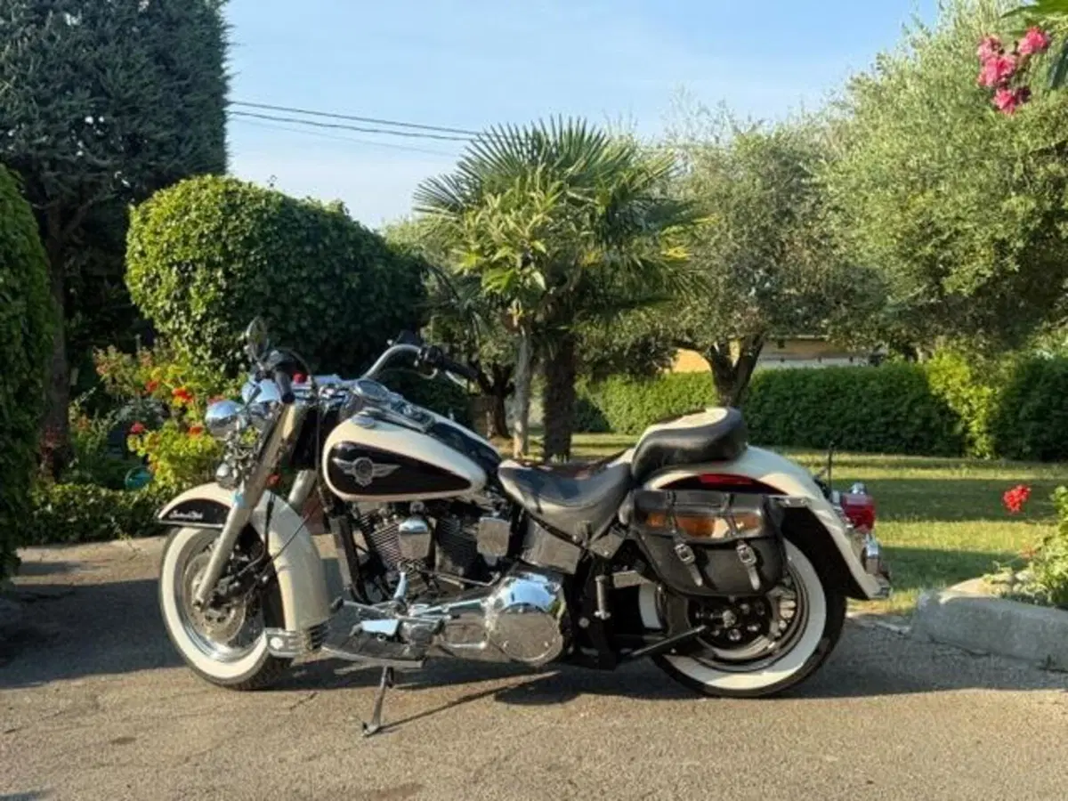 Harley-Davidson 1340 Heritage Special (1993 - 96) (10)