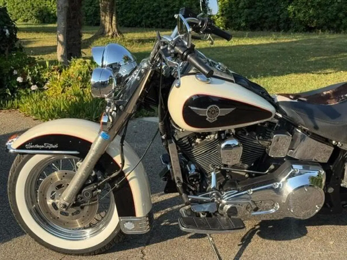 Harley-Davidson 1340 Heritage Special (1993 - 96) (13)