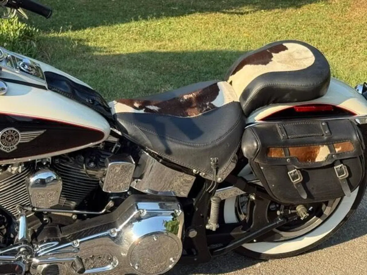 Harley-Davidson 1340 Heritage Special (1993 - 96) (14)