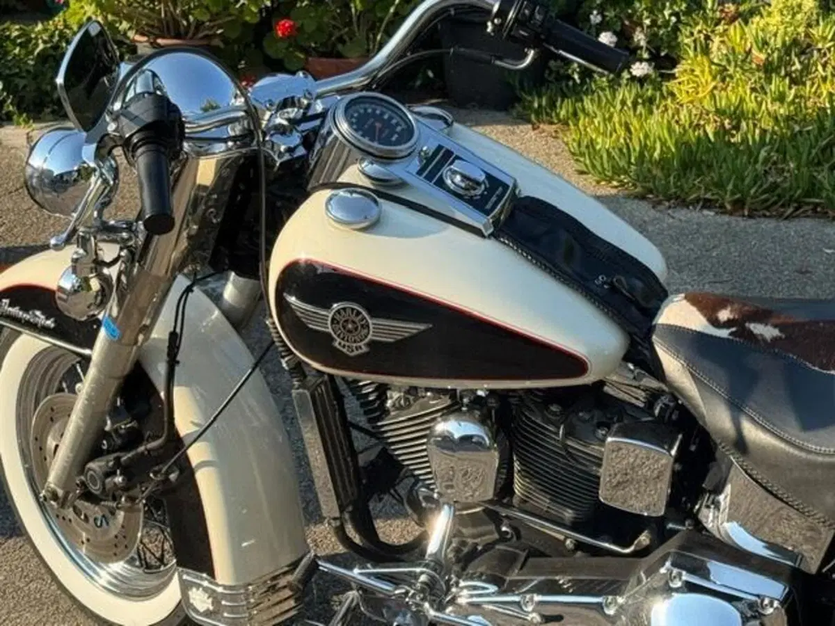 Harley-Davidson 1340 Heritage Special (1993 - 96) (15)