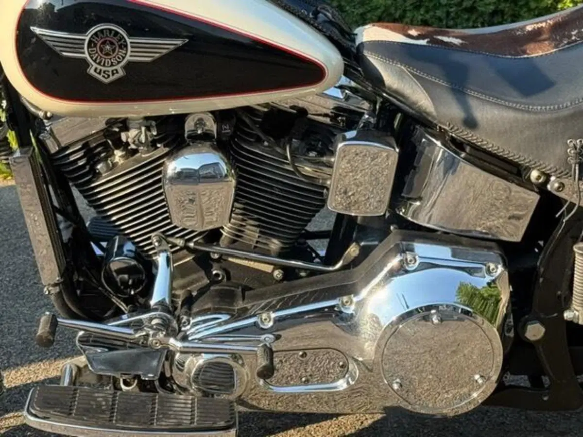 Harley-Davidson 1340 Heritage Special (1993 - 96) (16)