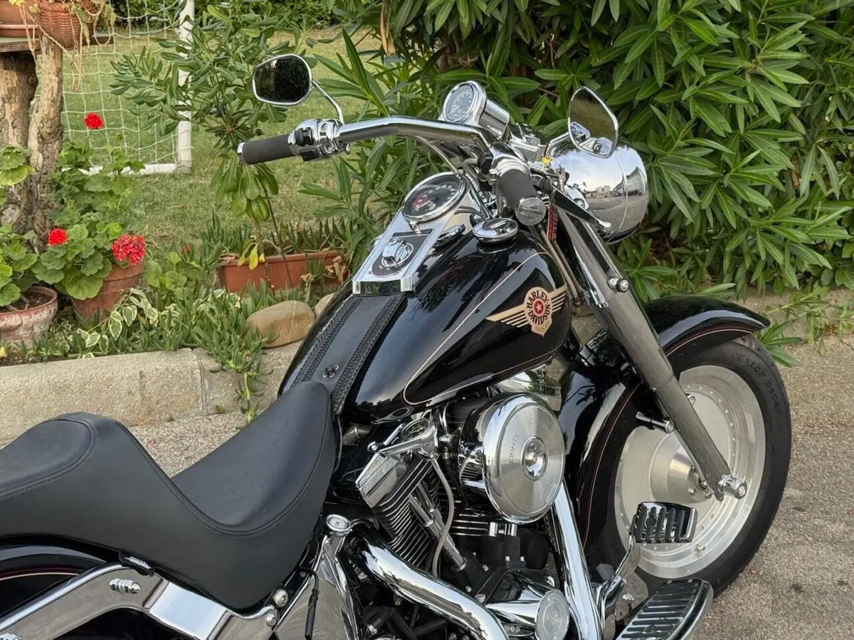 Harley-Davidson 1340 Fat Boy (1990 - 99) - FLSTF (12)