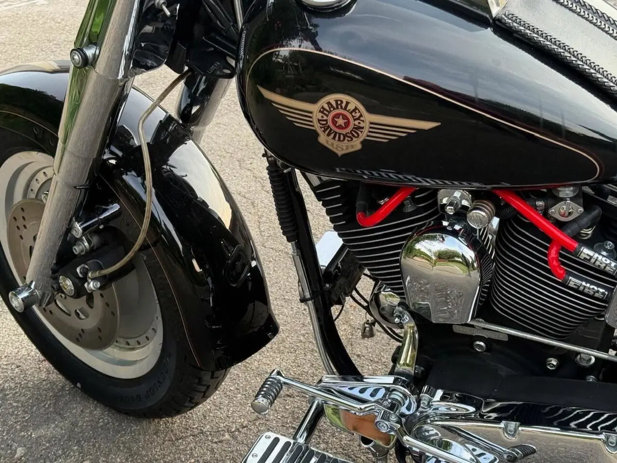 Harley-Davidson 1340 Fat Boy (1990 - 99) - FLSTF (16)