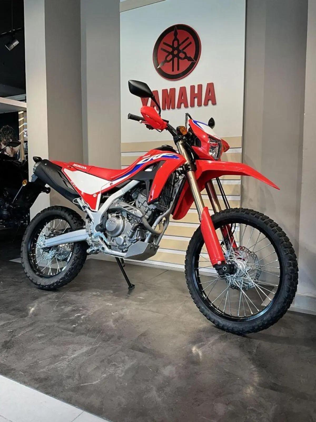 Honda CRF 300L (2021 - 24) (2)