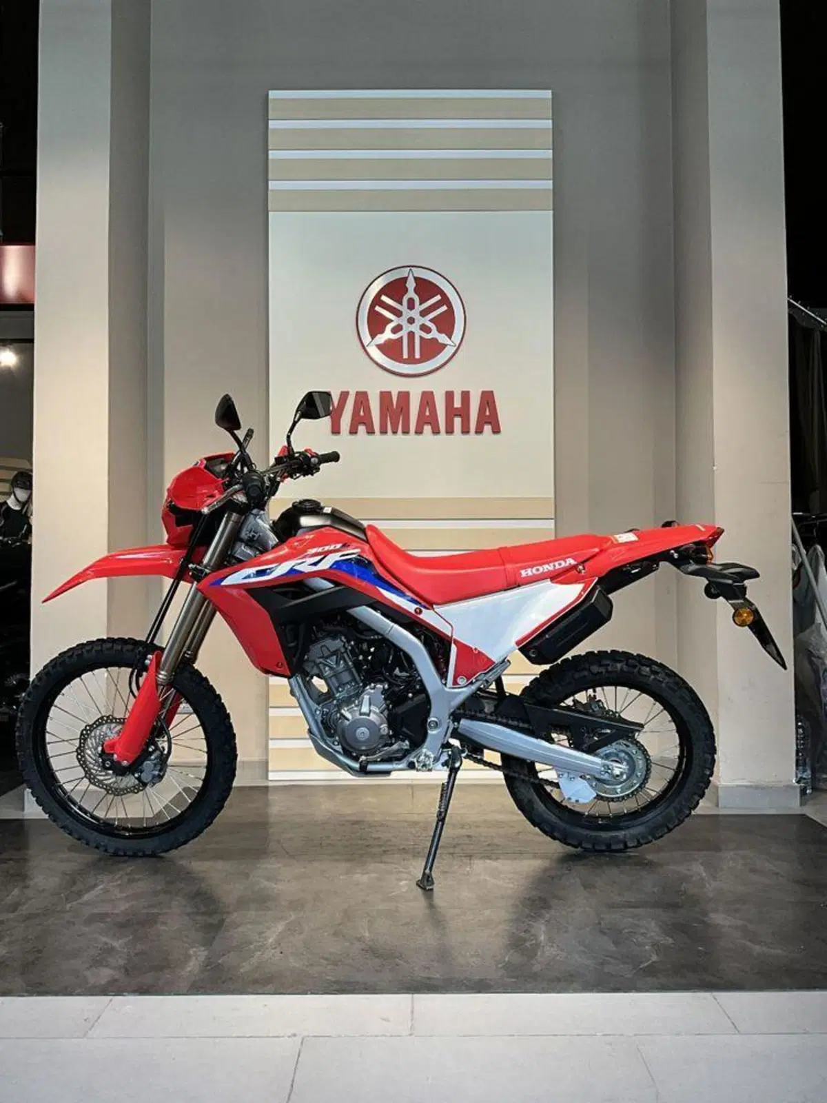 Honda CRF 300L (2021 - 24) (6)
