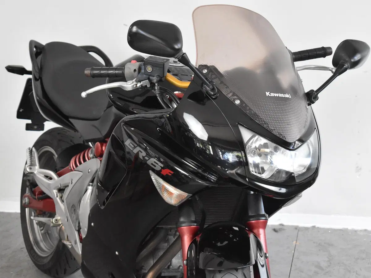 Kawasaki ER-6F (2006 - 08) (12)