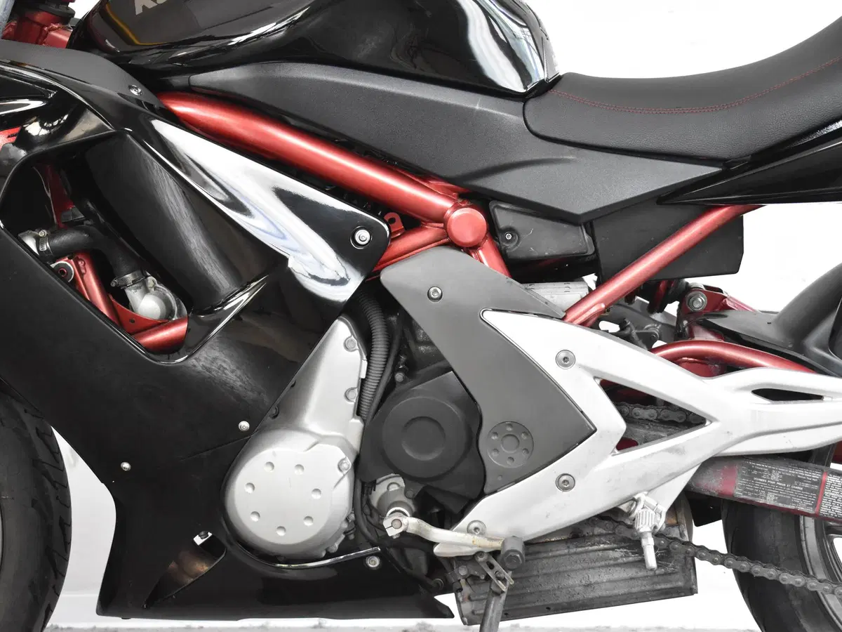 Kawasaki ER-6F (2006 - 08) (15)