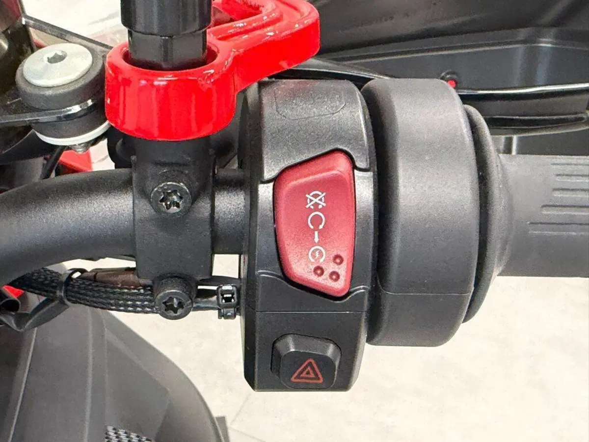 QJ Motor SRT 900 SX (2025 - 26) (9)