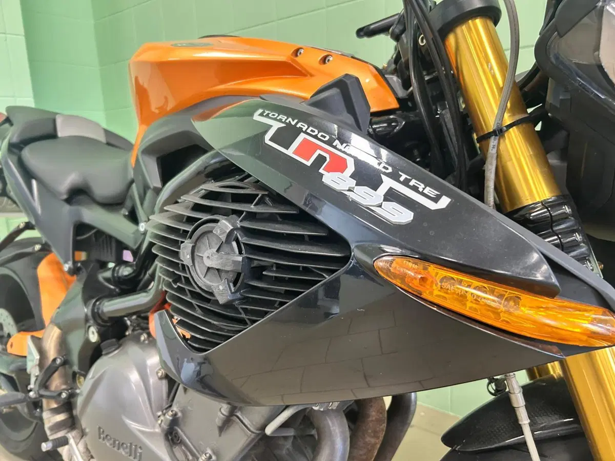 Benelli Tornado Naked Tre 899 (2008 - 11) (8)