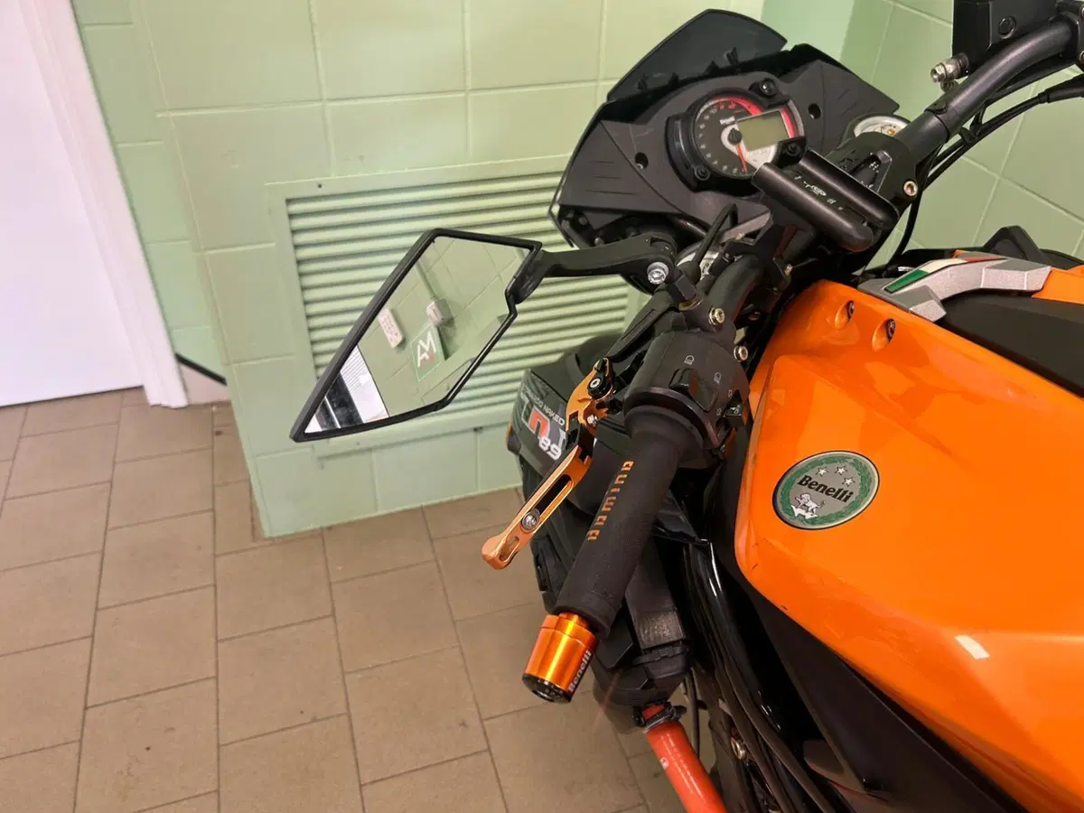 Benelli Tornado Naked Tre 899 (2008 - 11) (18)