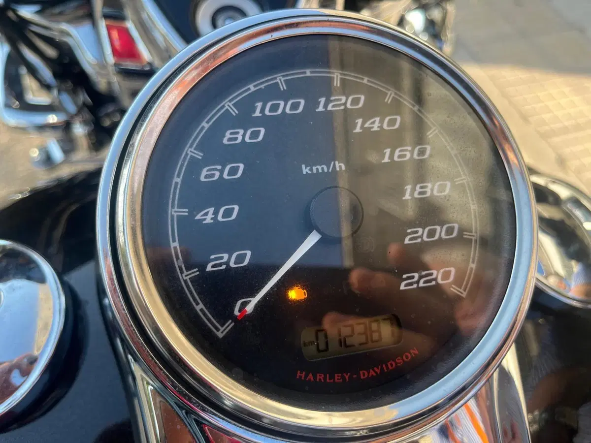 Harley-Davidson 114 Freewheeler (2016) - FLRT (2)