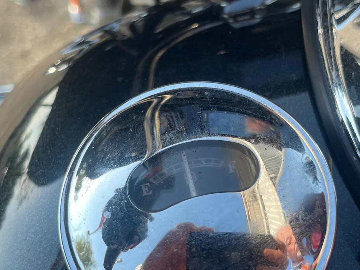 Harley-Davidson 114 Freewheeler (2016) - FLRT (3)
