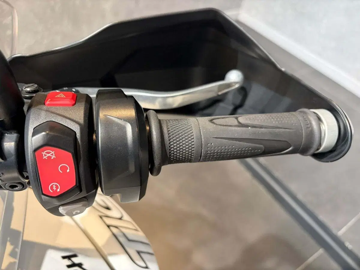 Triumph Tiger 800 XRt (2018 - 20) (11)