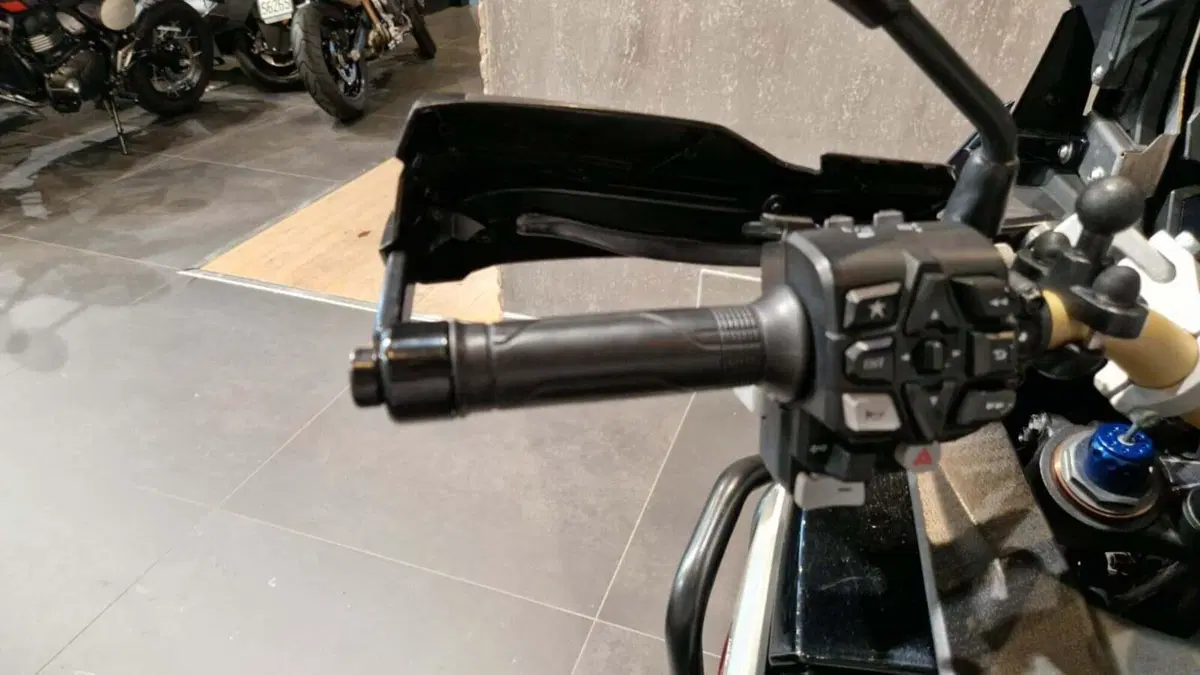 Honda Africa Twin CRF 1100L Adventure Sports DCT (2020 - 21) (8)