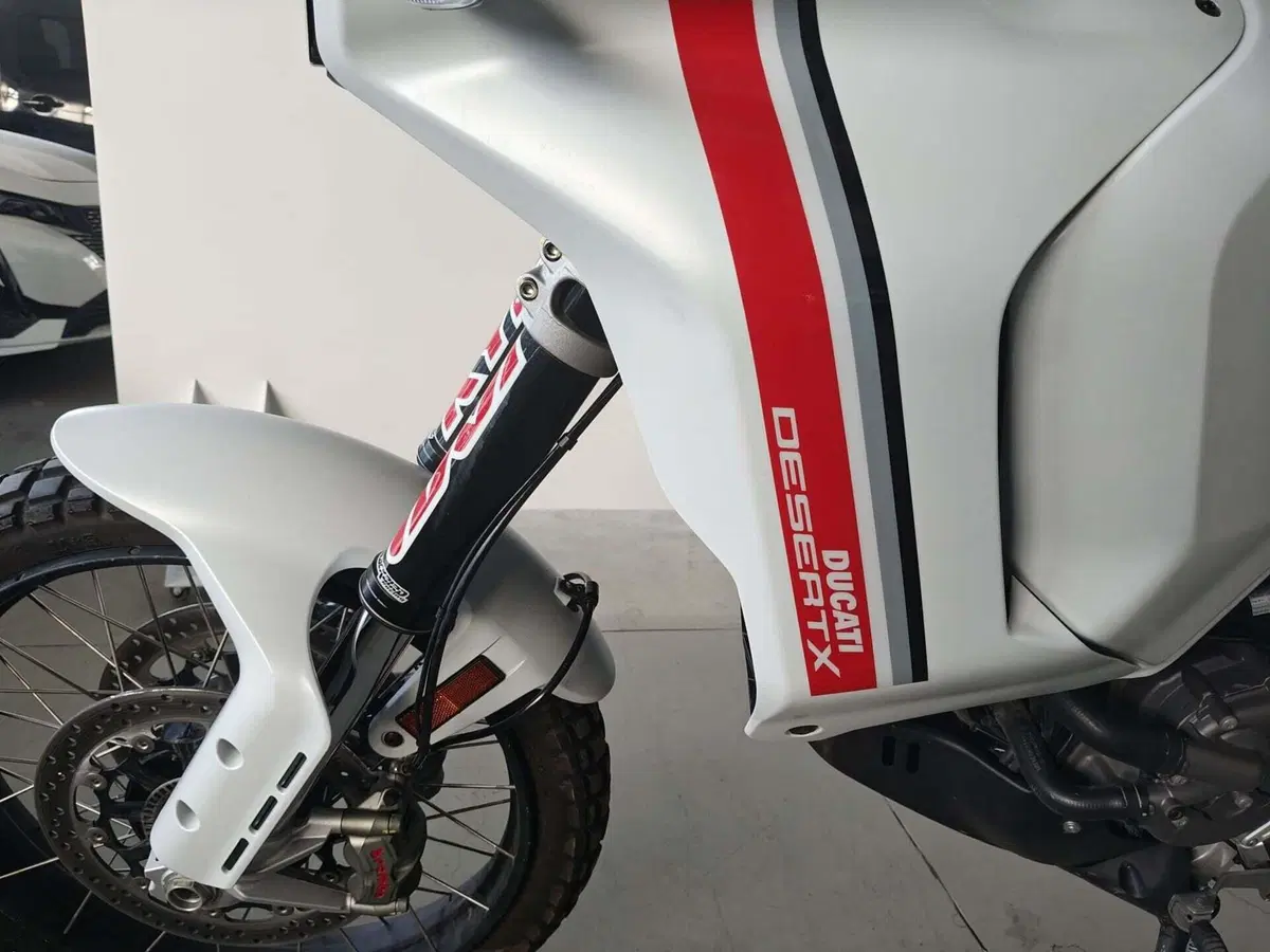 Ducati DesertX (2022 - 25) (8)