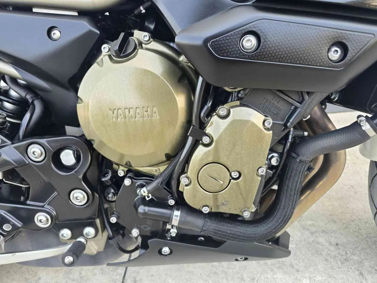 Yamaha XJ6 (2008 - 15) (19)
